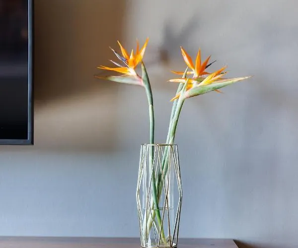 Downtown Mitte-wedding 4*